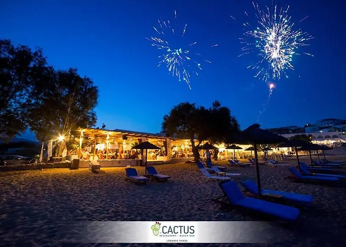 Cactus Paros Vendégház 3*
