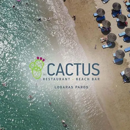 Guest house Cactus Paros 2*
