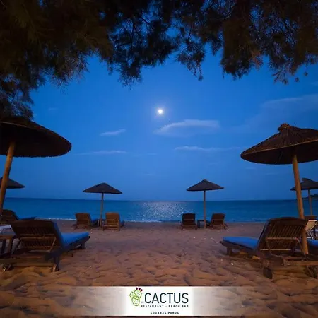 Cactus Paros ゲストハウス ロガラス