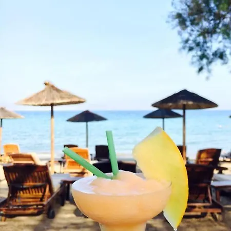 Cactus Paros ロガラス