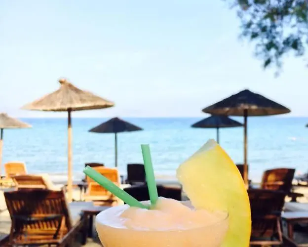 Cactus Paros 로갈라스